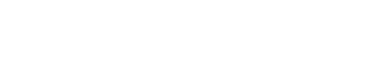 Logo Sailpoint